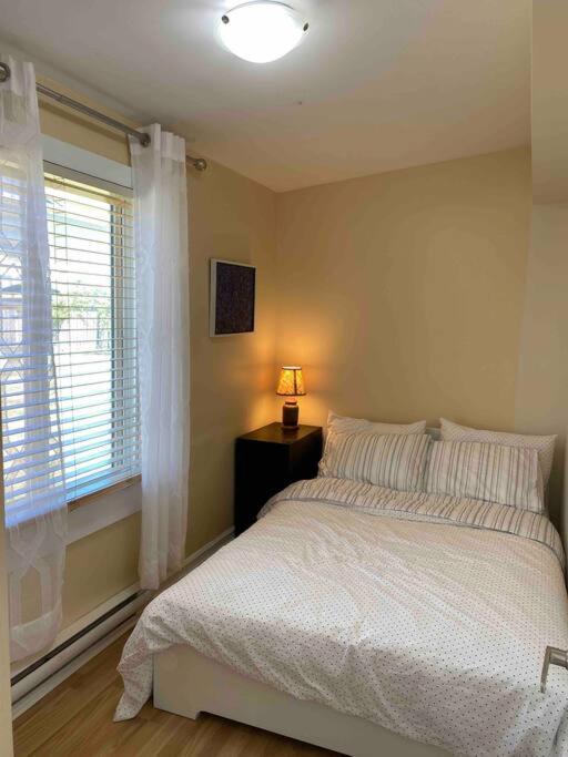 ויקטוריה Adorable 2-Bedroom Guesthouse With Free Parking מראה חיצוני תמונה
