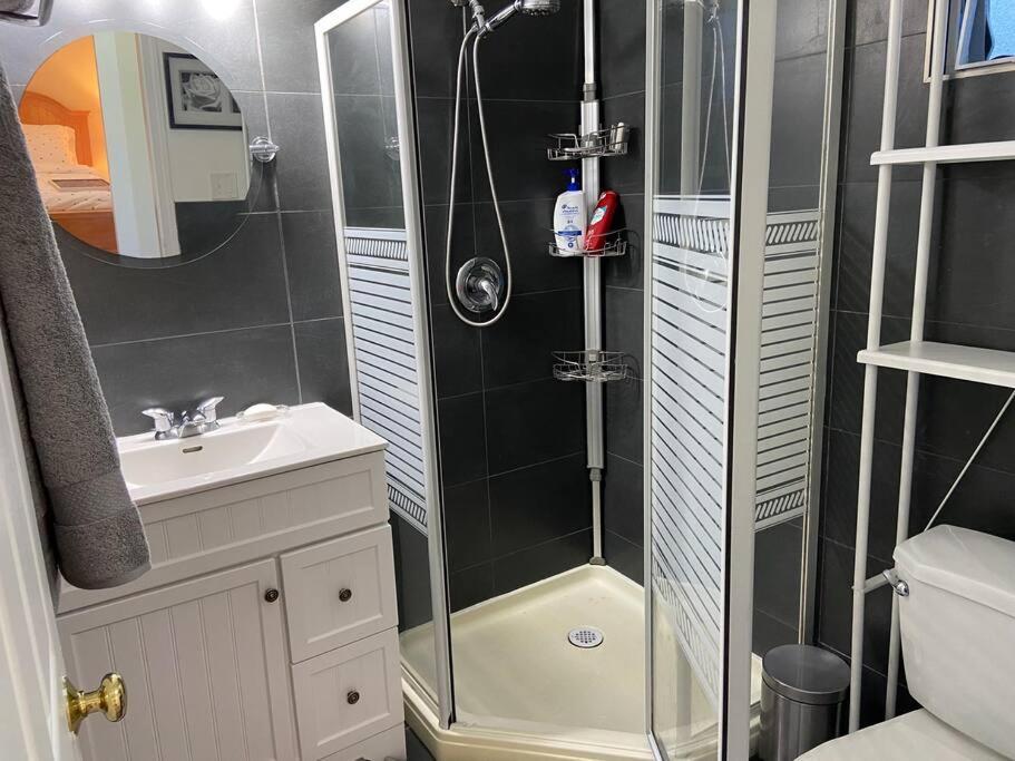 ויקטוריה Adorable 2-Bedroom Guesthouse With Free Parking מראה חיצוני תמונה